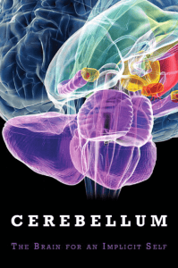 Cerebellum: The Brain for an Implicit Self