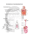 Introduction to Gastrointestinal tract
