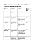 Plant and Animal Cell Study Guide answer key