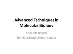 Advanced Techniques in Molecular Biology