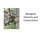 Human Impact, Conservation, and Biodiversity