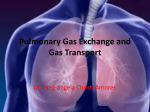 Pulmonary Gas Exchange and Gas Transport