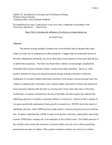 Evaluating the influence of evolution on human brain size