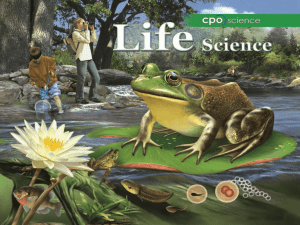 Section 13.3 - CPO Science