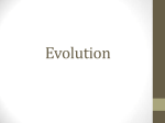 Evolution Notes ppt.