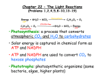 The Light Reactions - the Complex Carbohydrate Research Center