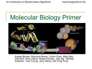 Primer on Molecular Biology