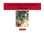 The Structure and Function of Blood