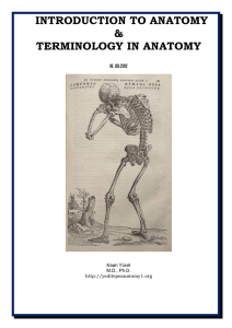 Dr.Kaan Yücel http://yeditepeanatomy1.org Introduction to anatomy