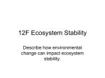 Ecosystem Stability