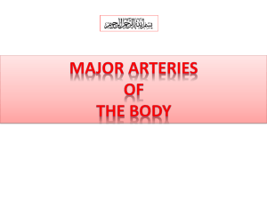 Major arteries of the body