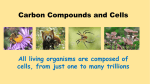 Carbon Compounds and Cells