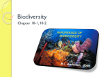Biodiversity - Maria Regina High School