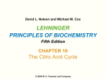 Lehninger Principles of Biochemistry 5/e
