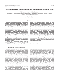 Human adaptation to altitude in the Andes