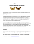 Peppered Moth Simulation