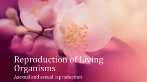Reproduction of Living Organisms
