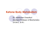 Ketone Body Metabolism