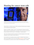 Hunting for cancer stem cells