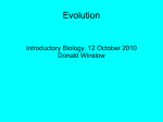 Evolution - Donald Winslow