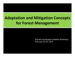 Adaptation and Mitigation Concepts for Northern Forests