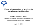 Epigenetic regulation of lymphocyte development and function