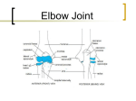 Elbow Joint chp 10