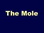 Moles