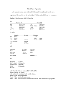 Mitral Valve Vegetation