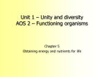Unit 1 – Unity and diversity AOS 2 – Functioning organisms