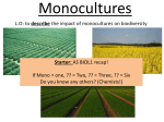 Why Monocultures are Created What?