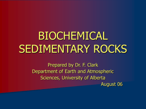 Biochemical Sedimentary Rocks.