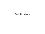 Cell Structure - Anoka-Hennepin School District