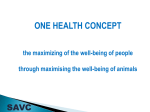 One Health concept which can be