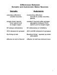 Somatic vs Autonomic NS