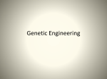 Genetic Engineering