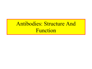 Antibodies: Structure and Function Chpt. 4