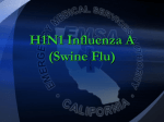 H1N1 Influenza A (Swine Flu)