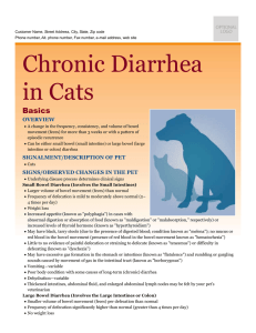 chronic_diarrhea_in_cats