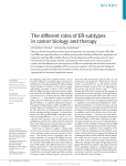 The different roles of ER subtypes in cancer biology and therapy