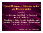 Opioid Receptors: Oligomerization and Desensitization