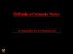 Diffusion/Osmosis Notes