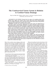 The Craniocervical Venous System in Relation to