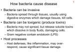 How bacteria cause disease