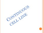 CELL LINES