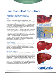 Liver Transplant Focus Note