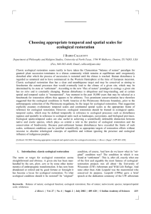 Choosing appropriate temporal and spatial scales for ecological