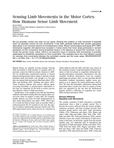 Sensing Limb Movements in the Motor Cortex: How Humans Sense