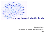 11. bursting - Brain Dynamics Laboratory