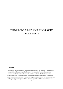 THORACIC CAGE AND THORACIC INLET NOTE